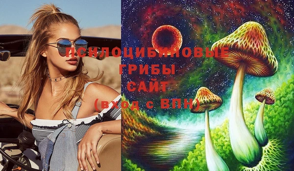 крисы Ленск