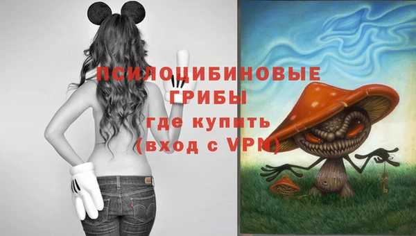 spice Остров