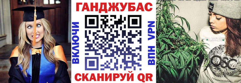 где можно купить наркотик  Салехард  Канабис THC 21% 